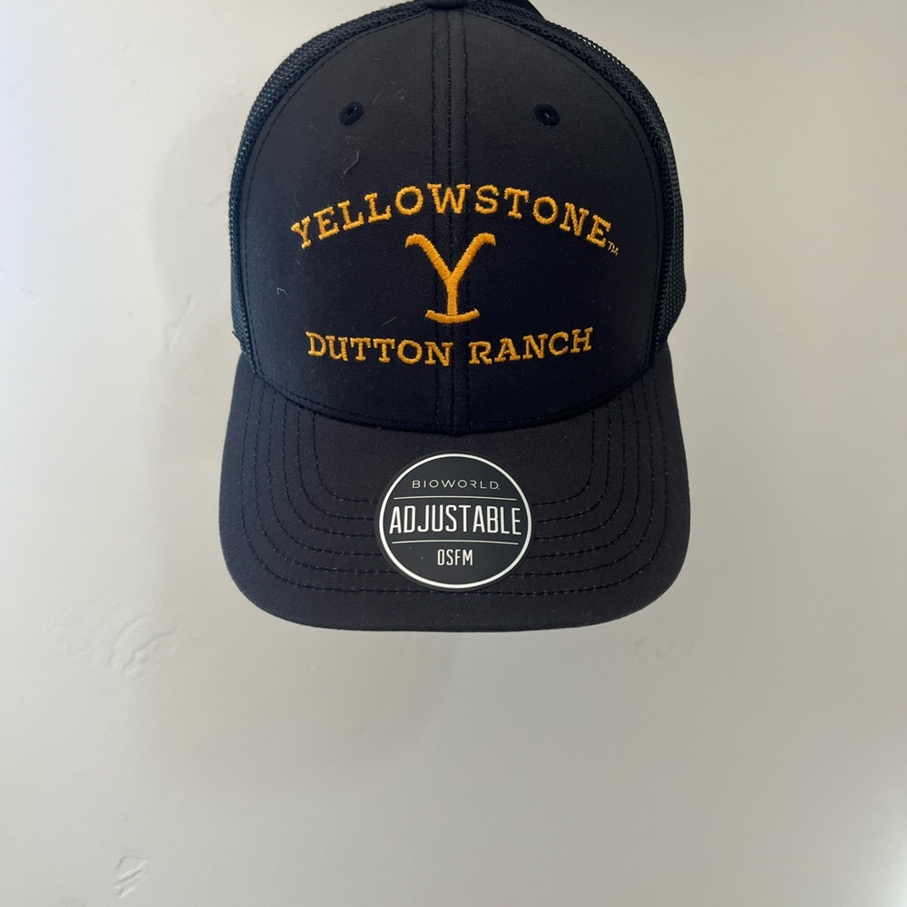 Bioworld Black Mesh Cap